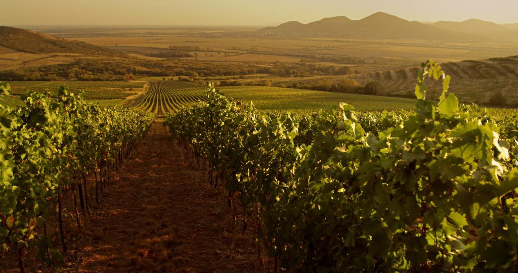 places_of_earth's tweet photo. Tokaj, Hungary 🌾😍 #BellLetsTalk https://t.co/jwwWUyEeCn
