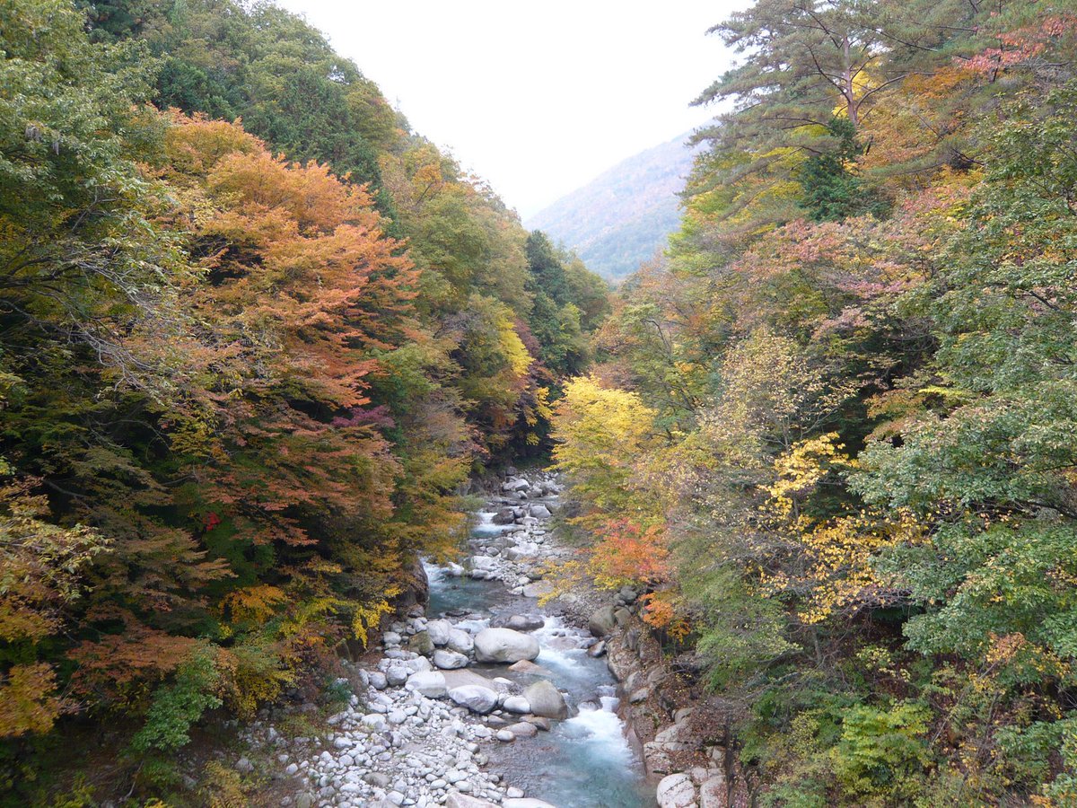places_of_earth's tweet photo. Kiso Valley, Japan 🌏🌳 #BellLetsTalk https://t.co/4COBYhTCqP