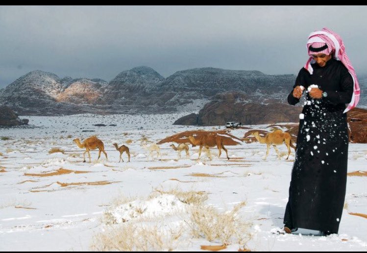 ‏﮼متعب ﮼الشمري ﮼ tweet media