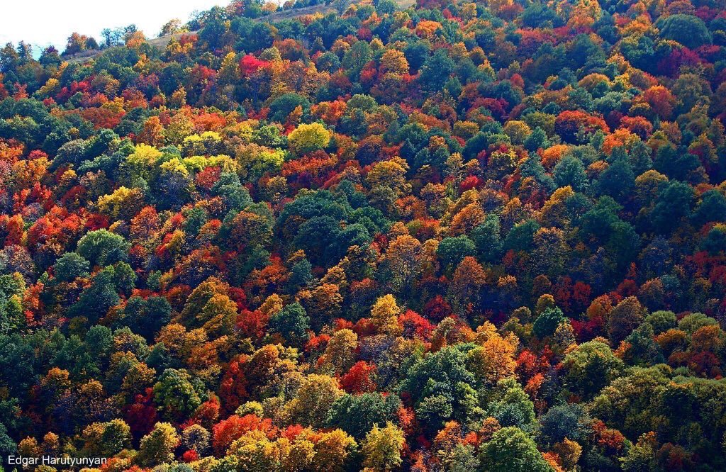 places_of_earth's tweet photo. Armenia in the fall 😍🍂 via @oorie_g https://t.co/jhaqnVvsrX