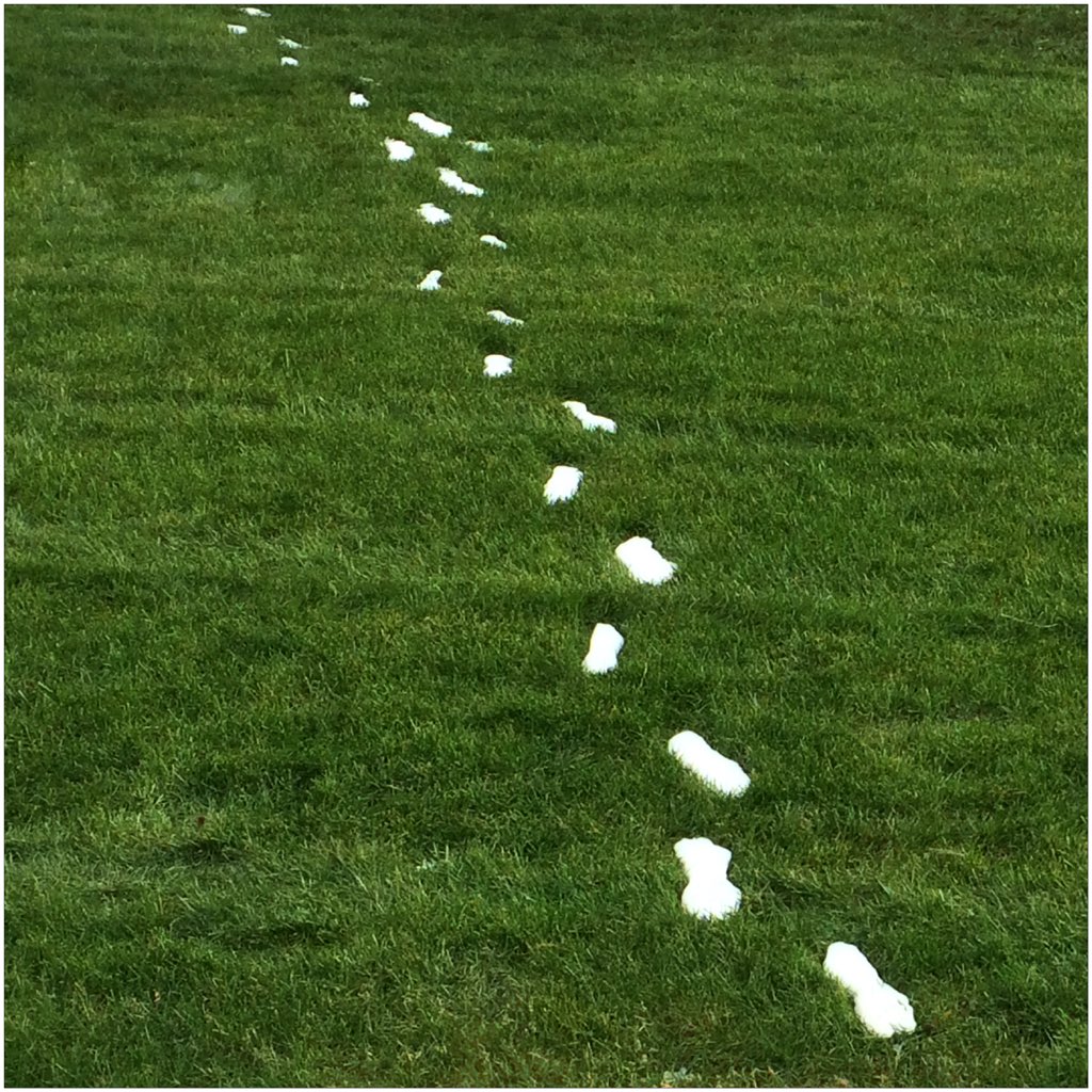 snow shoes #jonasblizzard #snow #iphone