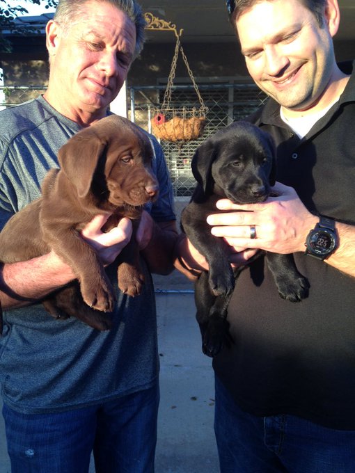 How does one choose 😭 https://t.co/RitJdM4fyx<a href="/tag/cancersucks"class="tags"><span>#cancersucks</span></a>