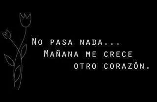 Paula Bz tweet media