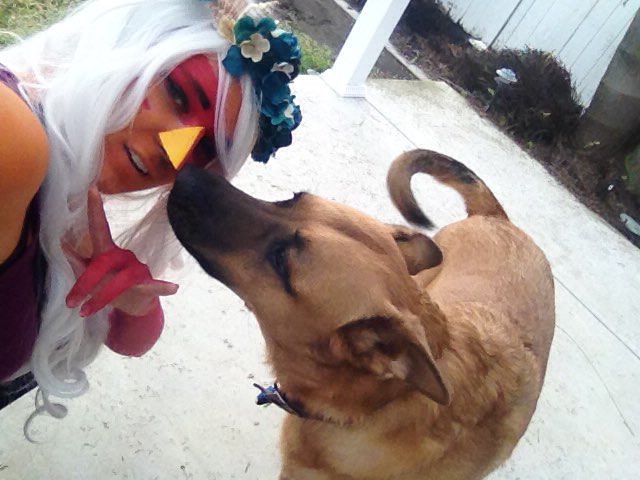YumiAiyuma's tweet photo. Cosplaying Jasper and my #cutie patootie #puppy, troy #animeimpluse #stevenuniverse https://t.co/DxP8Hi2ngN