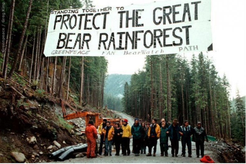 R_BrooksStand's tweet photo. The story of the campaign to save the Great Bear #Rainforest Pt. 1 @NatObserver https://t.co/Td5Otmc95S #environment https://t.co/T6XjU7A4R6