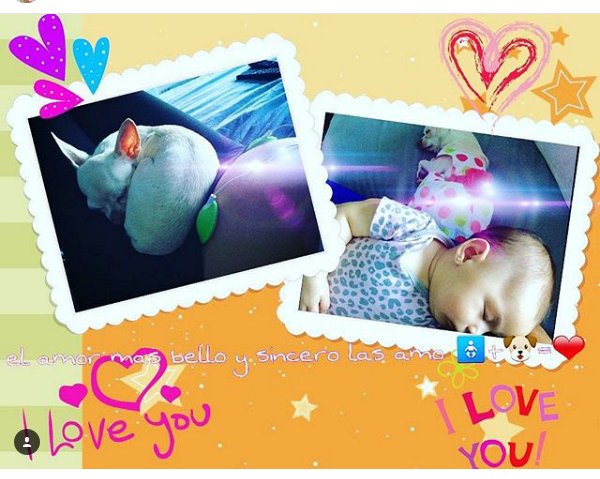bootacherbernal's tweet photo. de 3 de mis amiguitas♥ Gracias @marigonz004 #cristybernalfc #anapatrcia_love_so_much #anaybabygiuliettafanclub ♡☆ https://t.co/vVrOtfpRbg