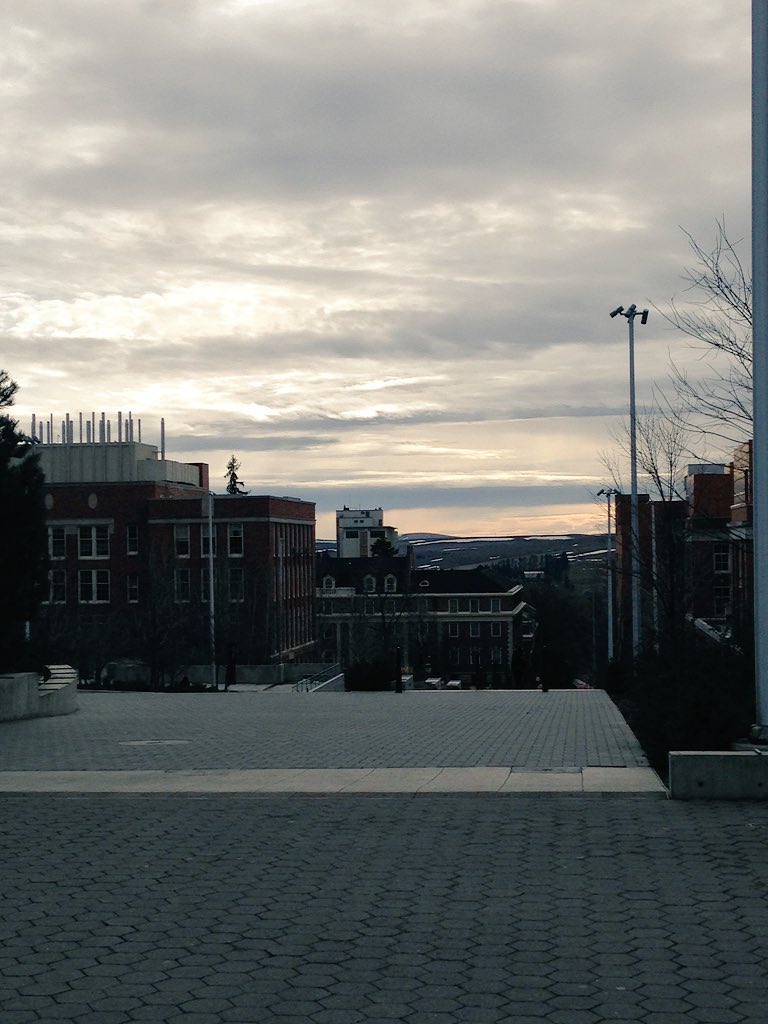 comjourchanlin's tweet photo. The top of library road has a fantastic view! #ComJourLive https://t.co/W6SHuaJsVk
