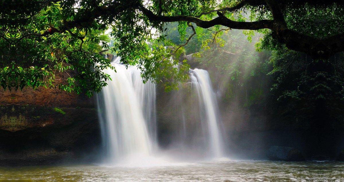 places_of_earth's tweet photo. Tamborine Mountain, Australia 🌏🌳 #BellLetsTalk https://t.co/o3iXcdBqcb