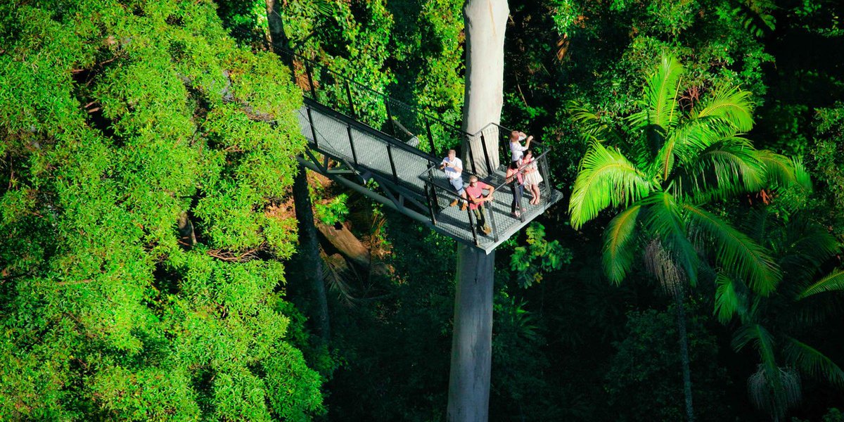 places_of_earth's tweet photo. Tamborine Mountain, Australia 🌏🌳 #BellLetsTalk https://t.co/o3iXcdBqcb