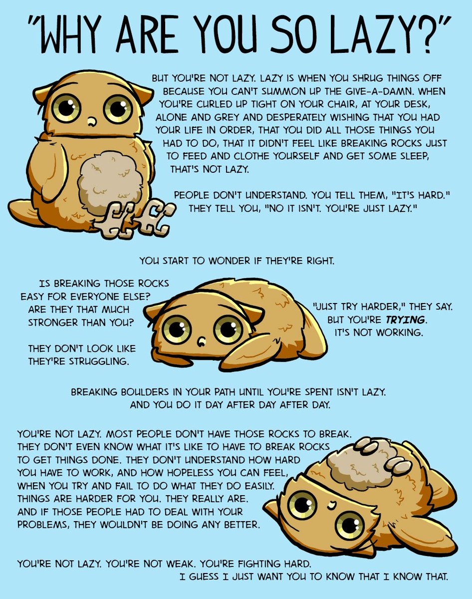 Jamie Evans tweet media