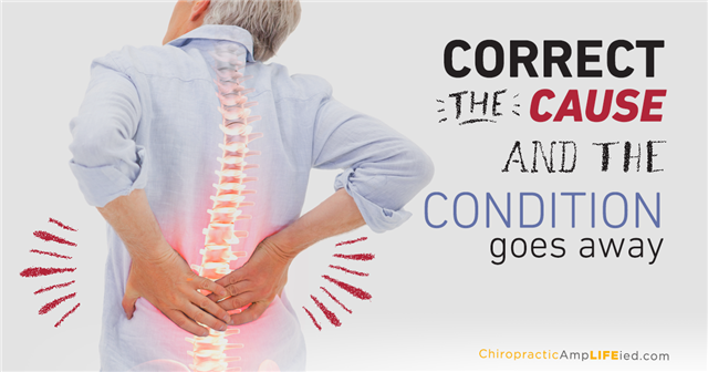 WarrChiroCentre's tweet photo. Make 2016 #backpain free! 50% off a consultation when you attend #spinal hygiene workshop https://t.co/iXTZQTFWhK https://t.co/RM5QrqoNW2