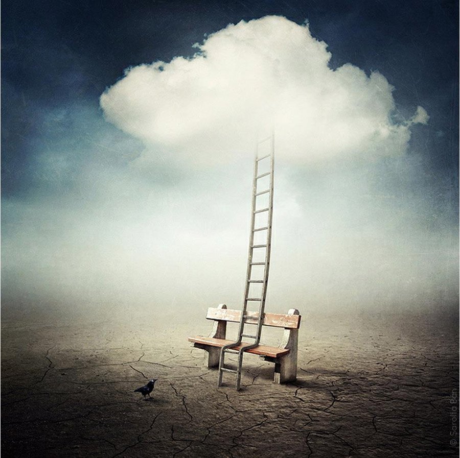 Novelicious tweet media