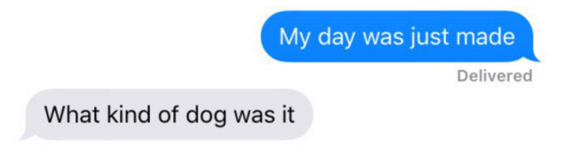 BuzzFeed's tweet photo. 19 Pictures Cat People Will Never Understand https://t.co/djgonGZmBg https://t.co/S0wKy2T9aJ