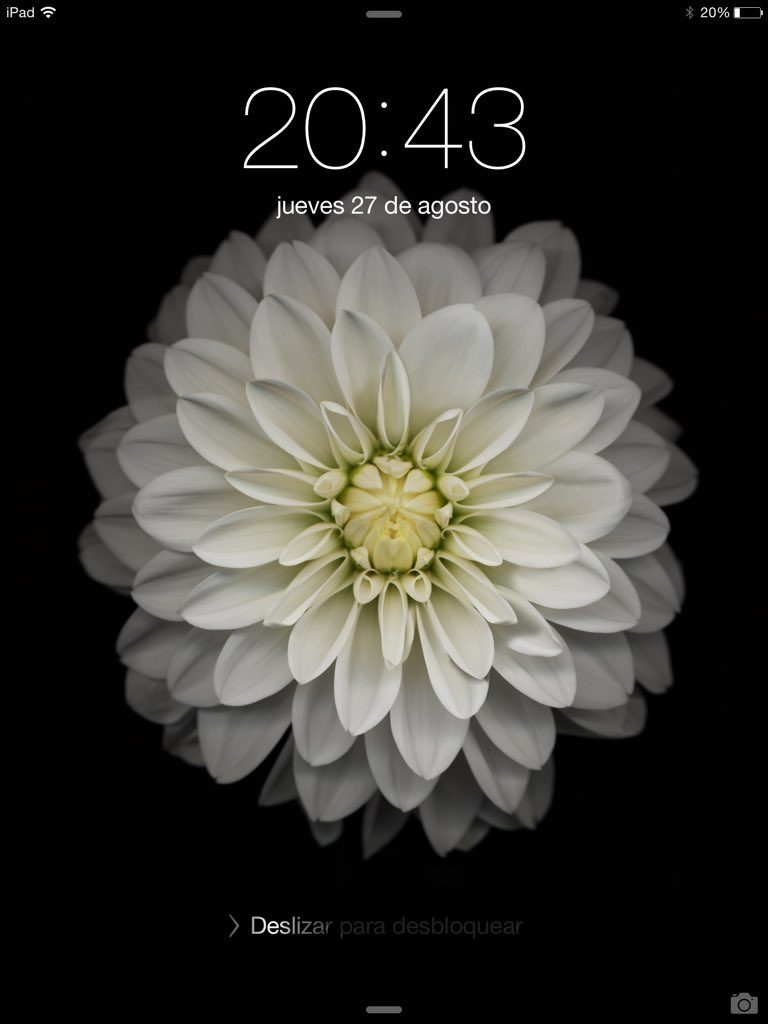 Mari10640887 tweet picture