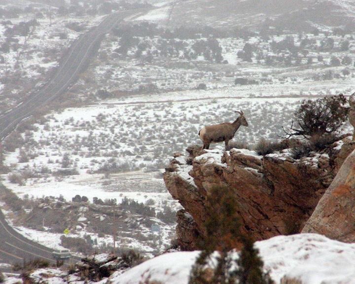 RT <a href="/patty_bray/">patty bray,</a>: