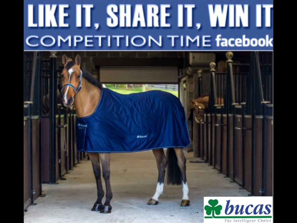 Facebook contest Like and Share #bucas #giveaway #equestrian don't forget to enter!  
facebook.com/Bucasblankets