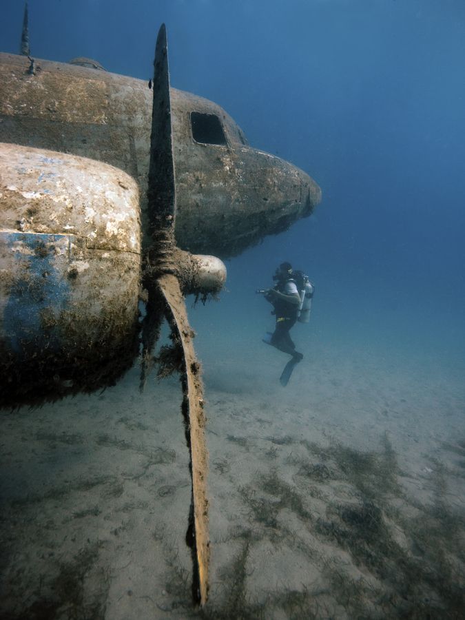 Love this, where is the best place you've ever wreck dived? @padi #scuba