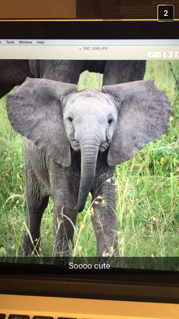 SarahLock18's tweet image. Qt