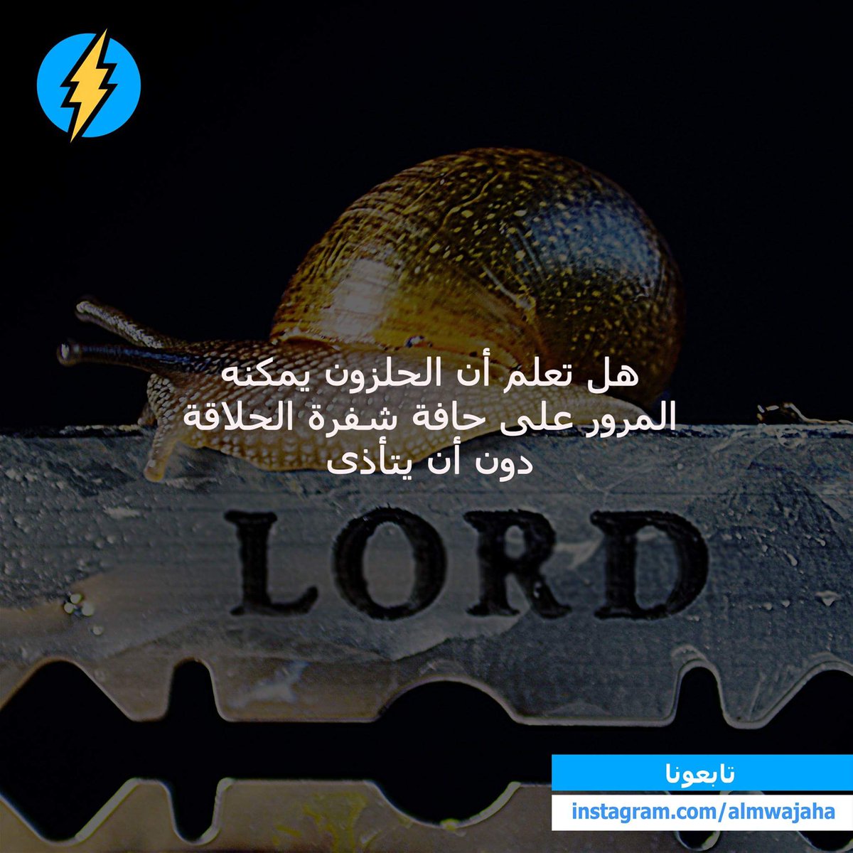 Almwajaha's tweet photo. https://t.co/Xmf7mxxmtL