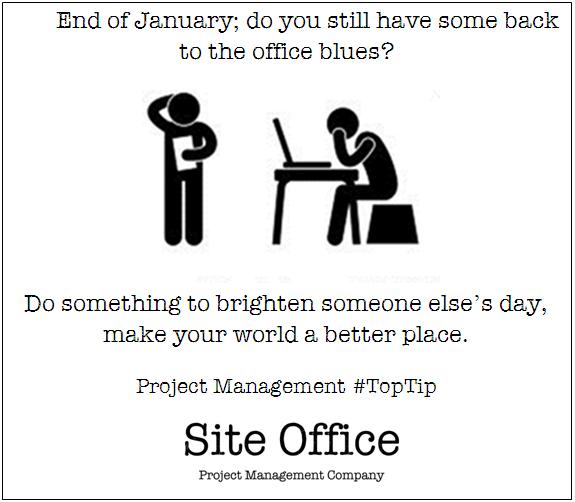 Site Office tweet media