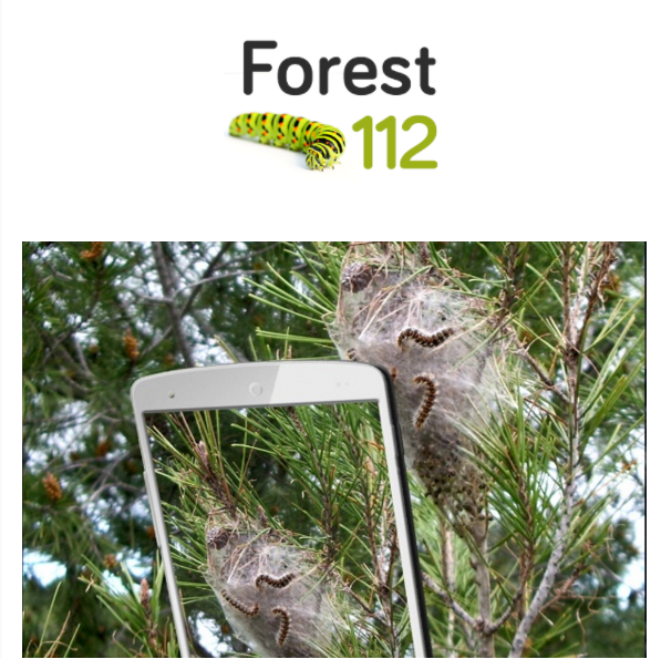 beambif's tweet photo. #Forest112: #App de #ciencia ciudadana contra plagas, enfermedades e invasoras del bosque  https://t.co/hFnhiDr5YA https://t.co/t4oim6eSuP