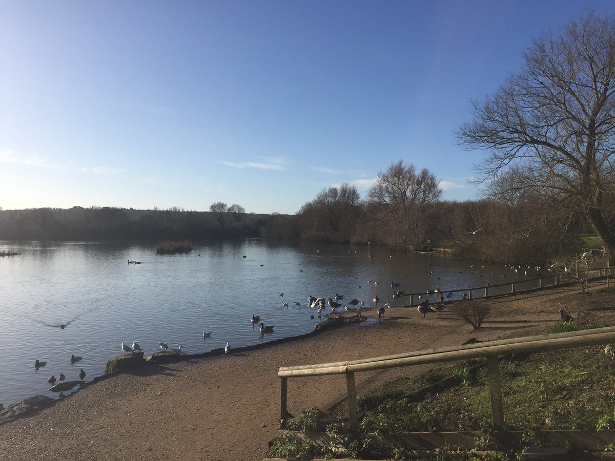 BBOWT_NatureDC's tweet image. After yesterday's rain the sunshine today is a real treat! Make the most of it with a visit, we're open until 4pm!
