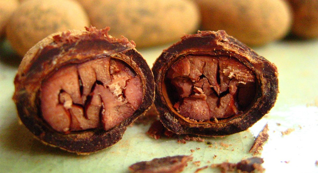 какао бобы неспелые. плоды какао. плоды какао дерева. какао бобы гуаякиль. какао внутри.
