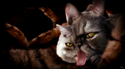 [TELEDYSK] Run the Jewels "Meowpurrdy" goo.gl/xj9V9n