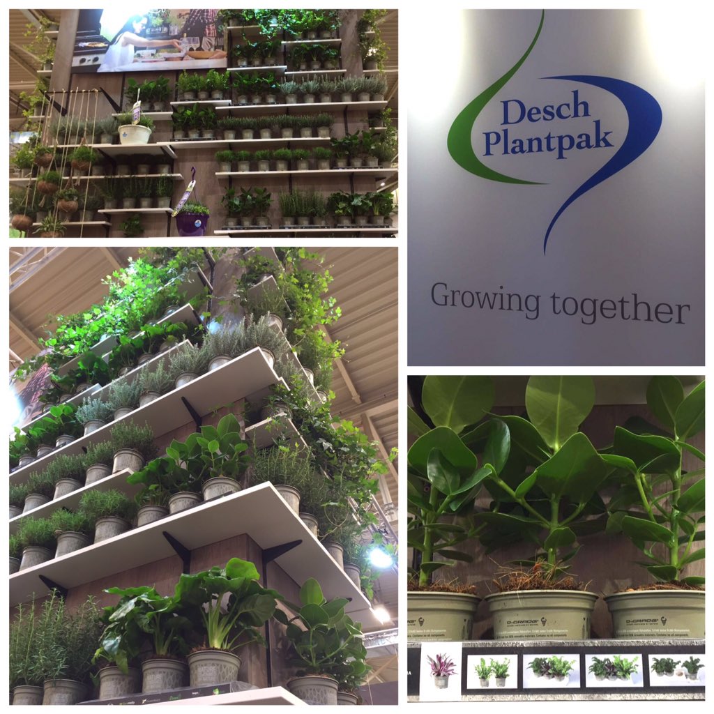 GreenplantsVDE tweet picture