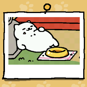 TheGoodBess's tweet photo. Tubbs, you fatass https://t.co/yuWLdcf5ib