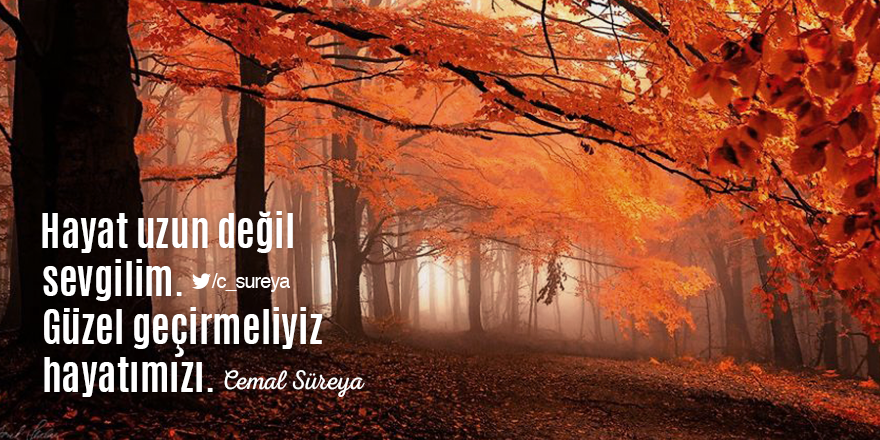 Hayat uzun değil
sevgilim.
Güzel geçirmeliyiz
hayatımızı.

Cemal Süreya