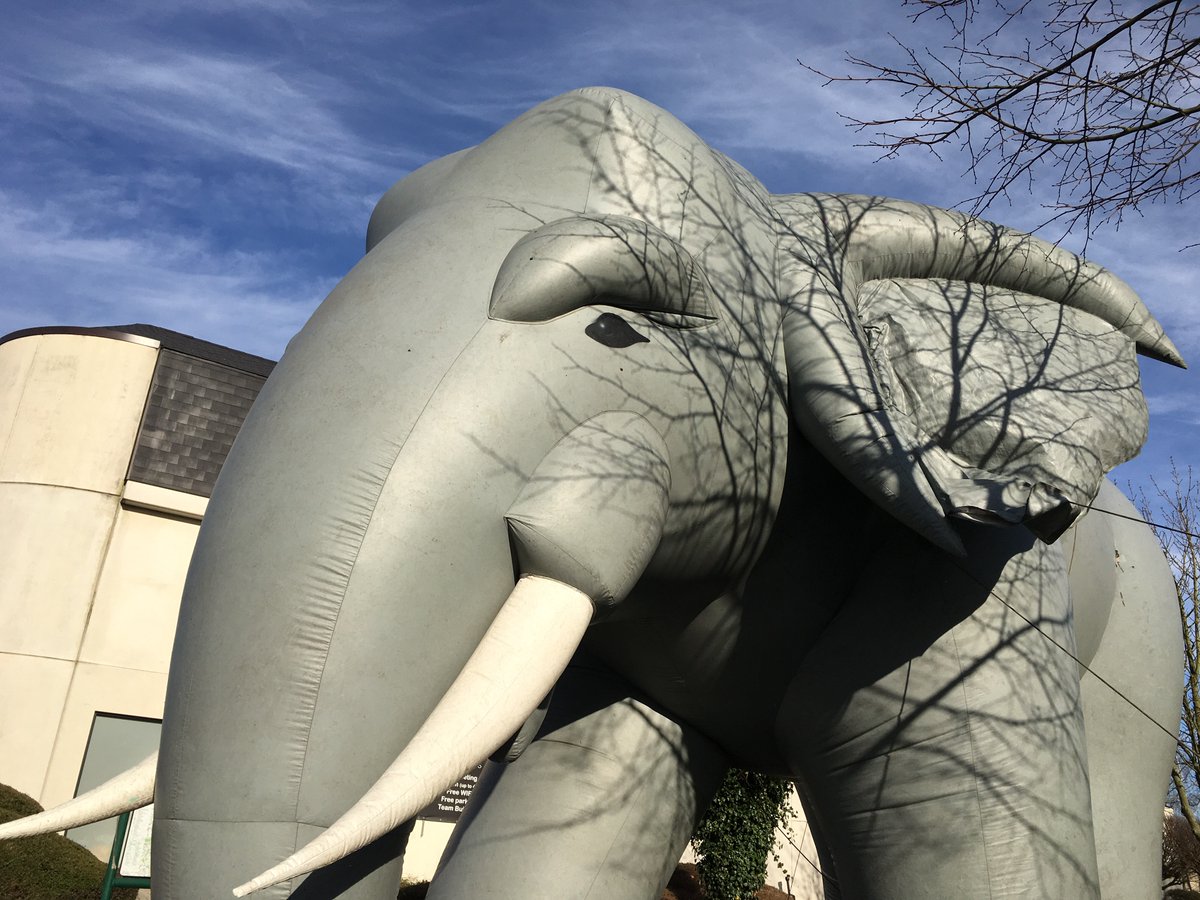 phpbenelux's tweet image. Huge #elephpant spotted at #phpbnl16