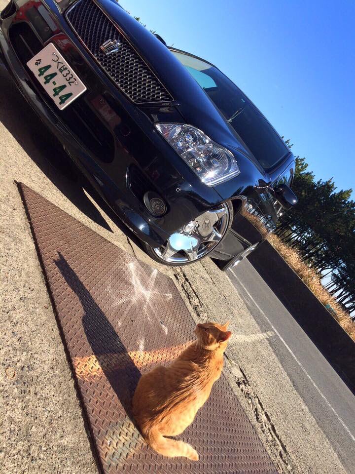 辺保陽一 シェア拡散希望 友達の車が盗まれました 困っています 何か情報がありましたら お知らせ願います 車種は黒のゼロクラウン つくば 332 な 4444 字光式ナンバーです 内装が白一色なのが特徴です T Co Nvm3uqiwdz