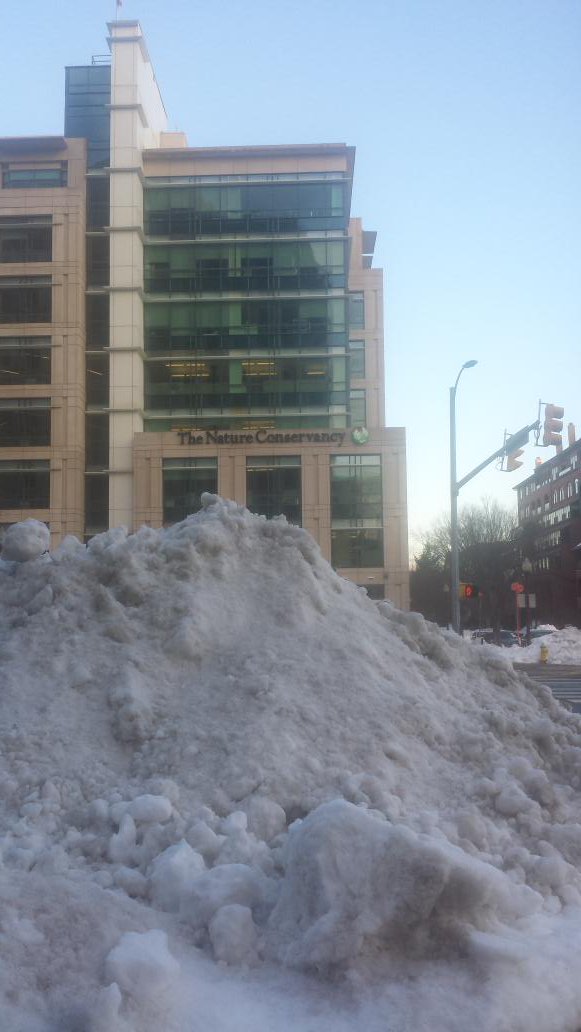 EdHewitt85's tweet photo. my first visit to WO with @nature_org! #snowmaggedon2016 https://t.co/8M7wJBzP8F