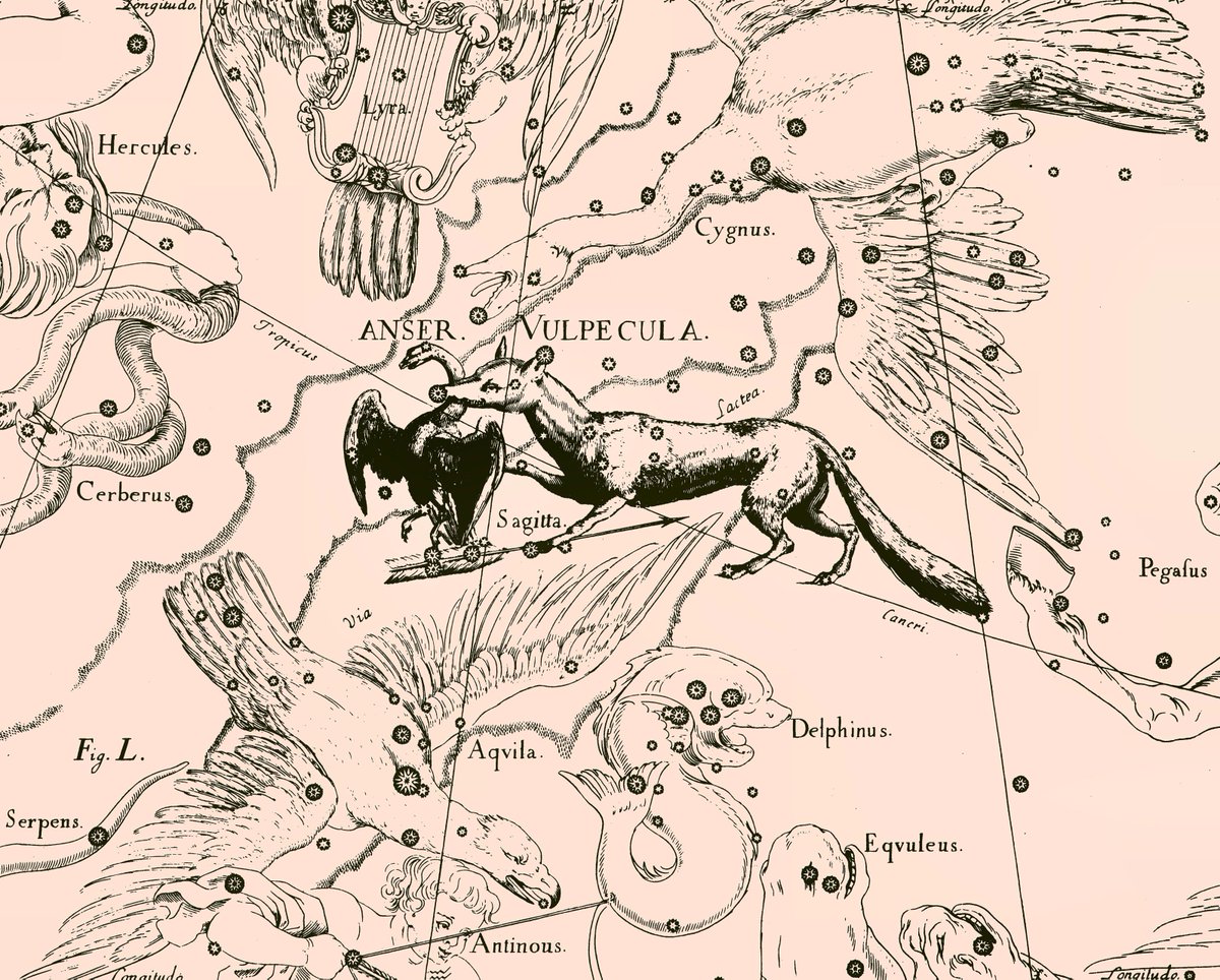 Созвездие лисичка схема