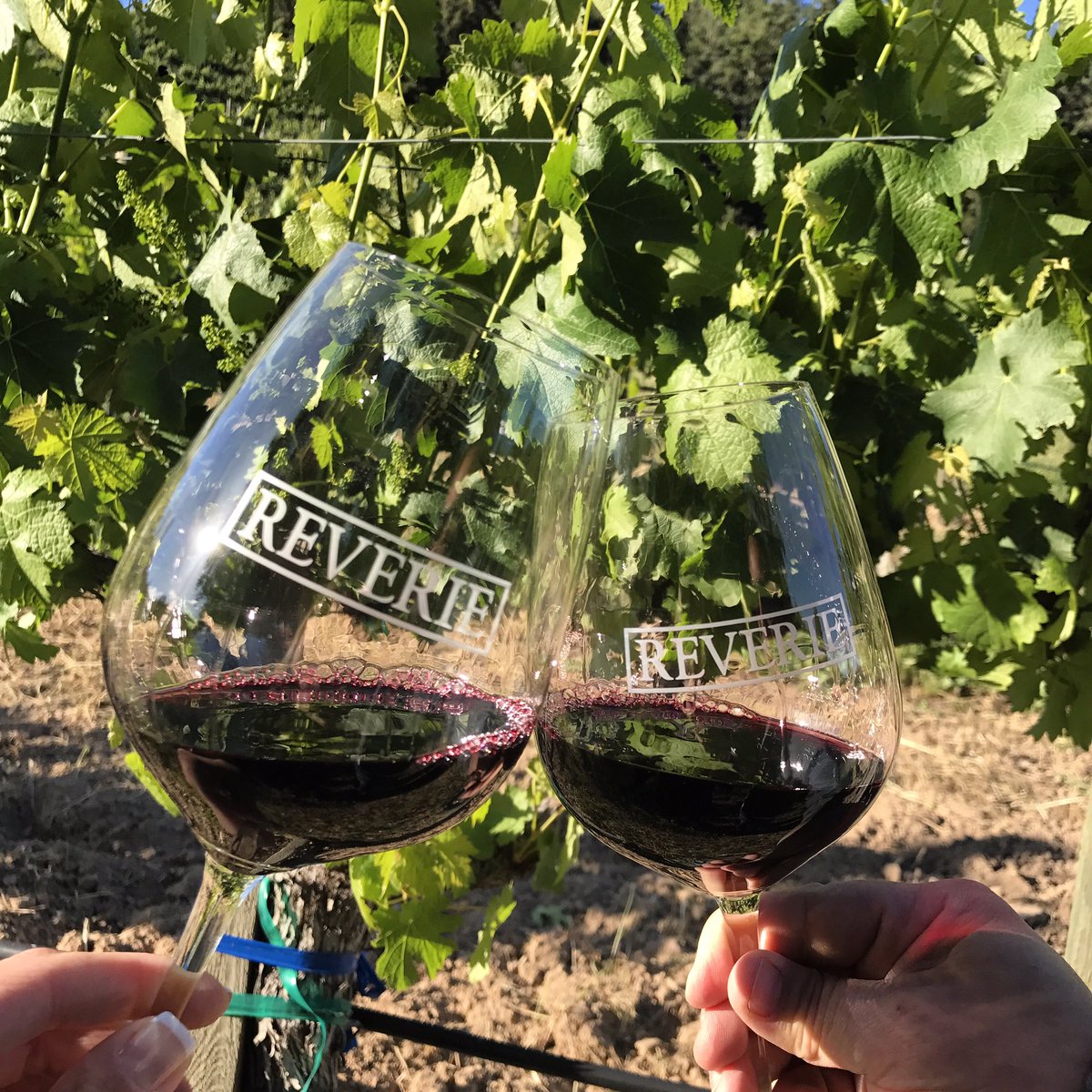 Celebrating #winecountryliving #cheers #reverie #napa #wine