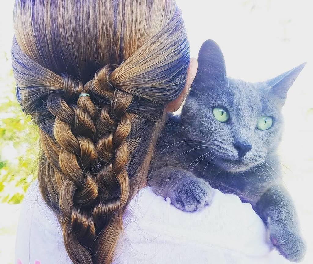 DaddyDaughterHF's tweet photo. Everyone loves cats and braids, right? 😊
#DaddyDaughterHairFactory #DDHF #SoCozyDad #SoCozyHair #RealMenBraid #c… https://t.co/bKVe2N84ZF https://t.co/XOc8hdq2zt