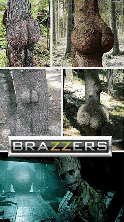 AllGroot's tweet image. -es adolescente, ahora si puede mirar(?)-