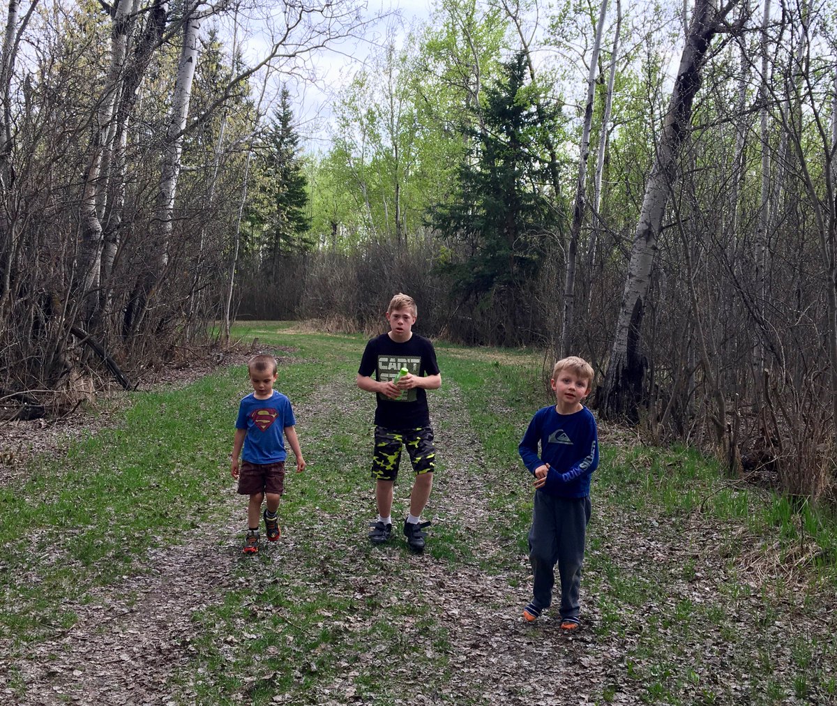 AspenPCN's tweet photo. Our official trail bosses! @AMAYouthRunClub  Athabasca is having a great time on the Muskeg Creek Trails #ViewFromMyRun #WeLoveRunning https://t.co/WYveQqDLh0