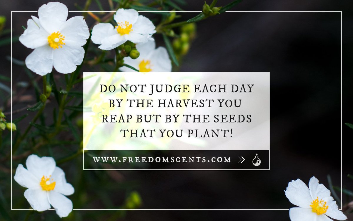 🌼 Live free from cruelty, toxins and chemicals, nurture your sacred being and that of the earth! #vegan #veganbeauty #CrueltyFree #gogreen 🌿