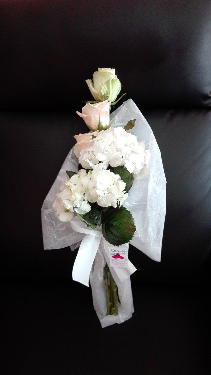 stefy76s's tweet image. #purezza