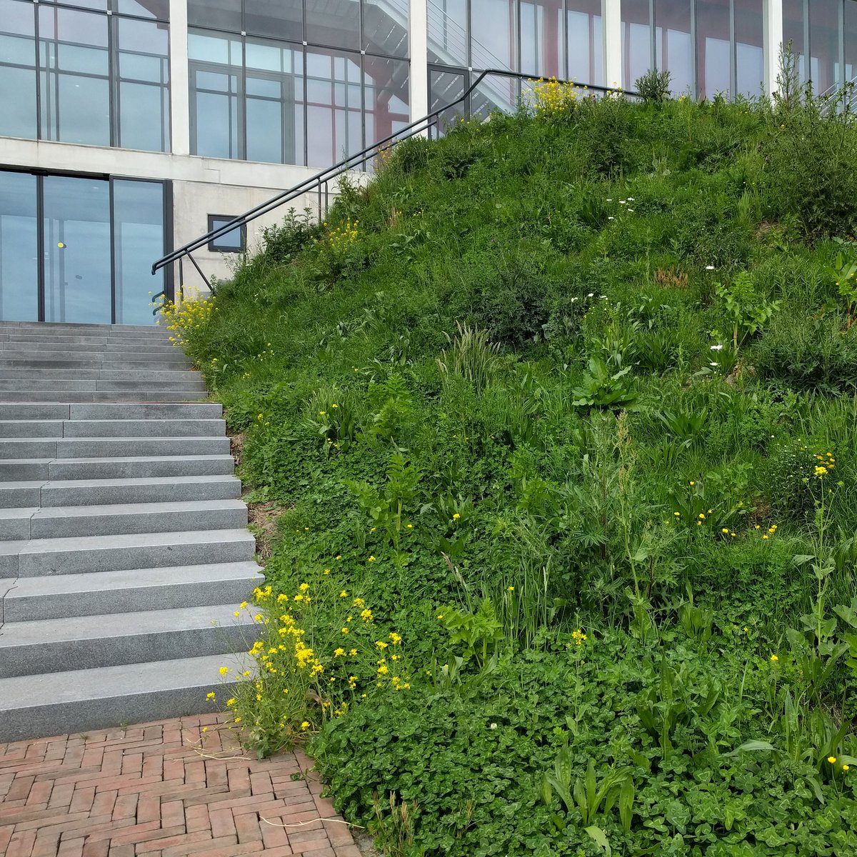 gewildgroei's tweet image. Cinemec bioscoop @Berlijnplein030 heeft een prachtige entree met veel #gewildgroei @Stadsecoloog030