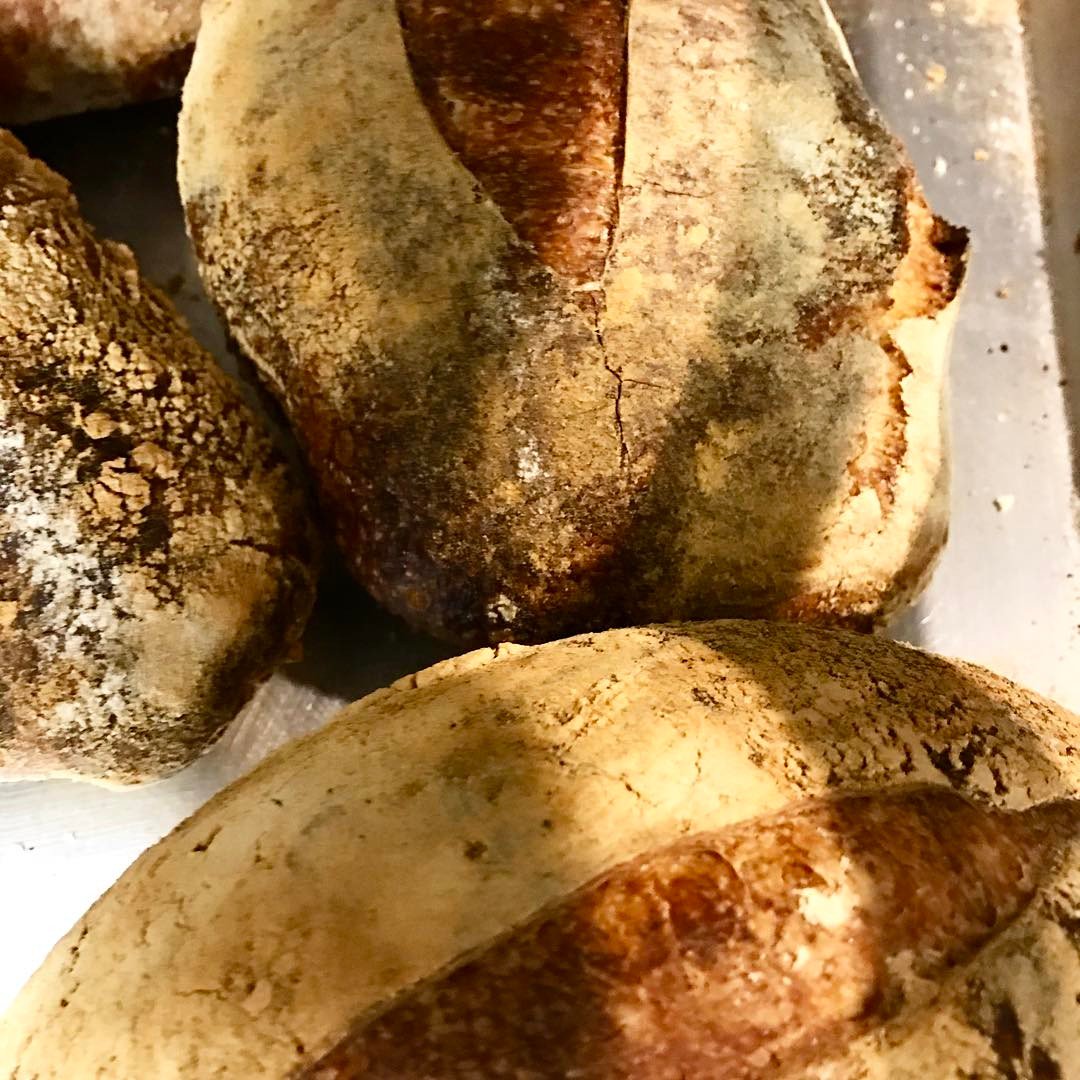 jazamango's tweet photo. Sabores inolvidables hechos con productos locales y con gran pasión es lo que encontrarás en #Jazamango RSV: https://t.co/IGJsrzOU05 https://t.co/WWFA2BIENL