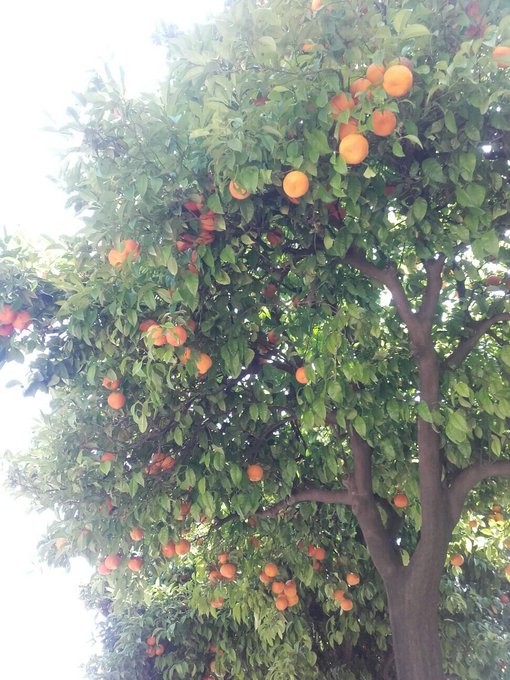 I like orange😁 https://t.co/TJHrpv7lMr<a href="/tag/flirt4free"class="tags"><span>#flirt4free</span></a><a href="/tag/joinmyroom"class="tags"><span>#joinmyroom</span></a>