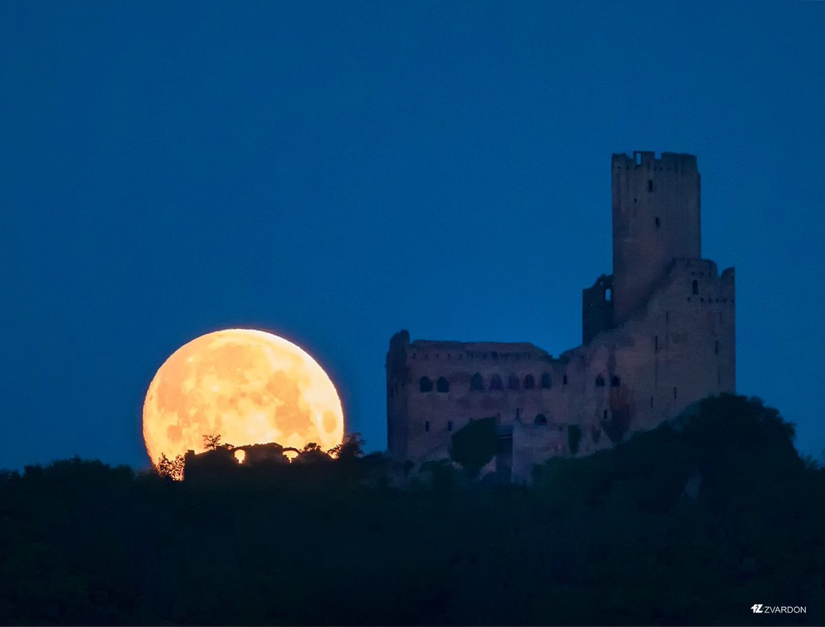 toutelalsace's tweet photo. #MonDepartementNature Après le coucher de soleil, place à la lune... 🌕🌝 au Château de l'Ortenbourg et dans le Val de Villé ©@zvardonf https://t.co/BgwiF0Zja5