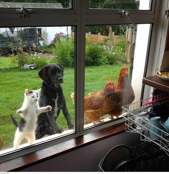 C_-QZ1_V0AAEWC4.jpg:small