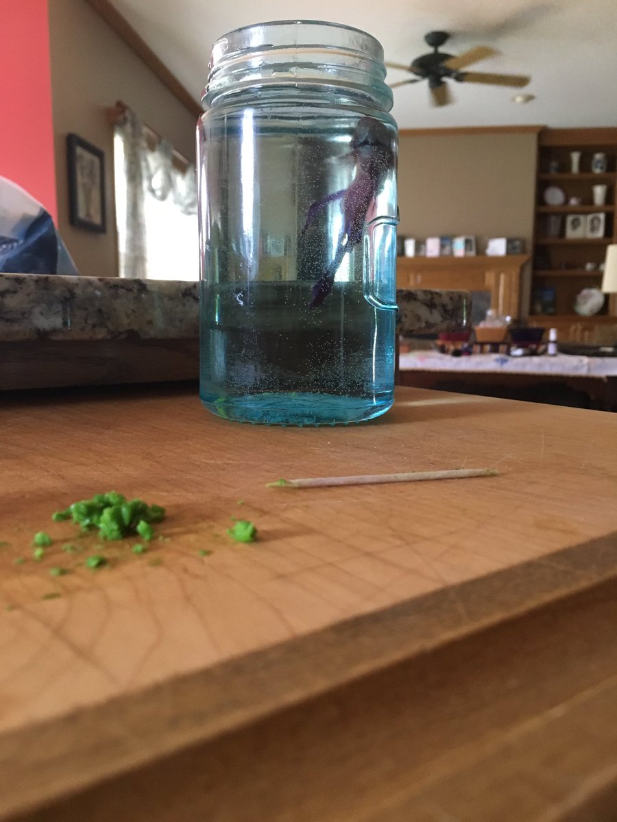 GK220Pudge's tweet photo. What do you mean peas are good for me?! https://t.co/547d7HA2gX