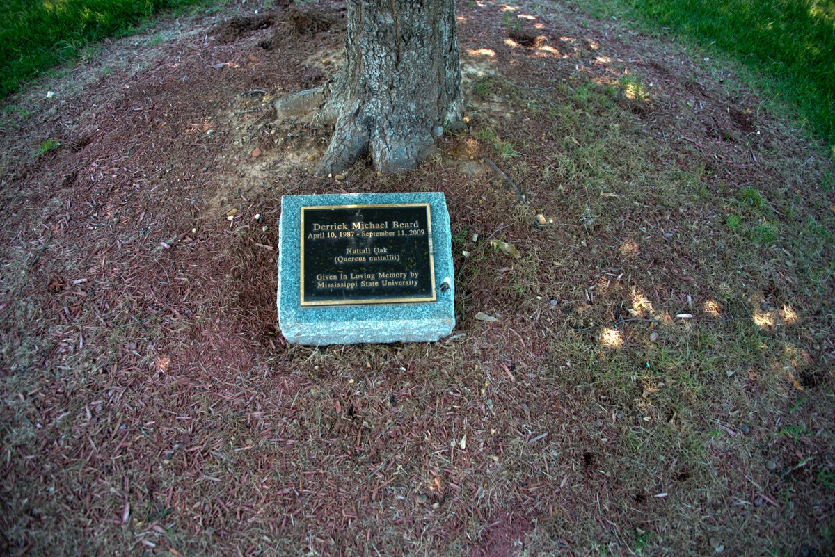 MSU_AG's tweet image. Happy National  ❤️ a Tree Day!  At MSU all of our trees have a purpose &amp;amp; some represent the loved ones we have lost #nationalloveatreeday