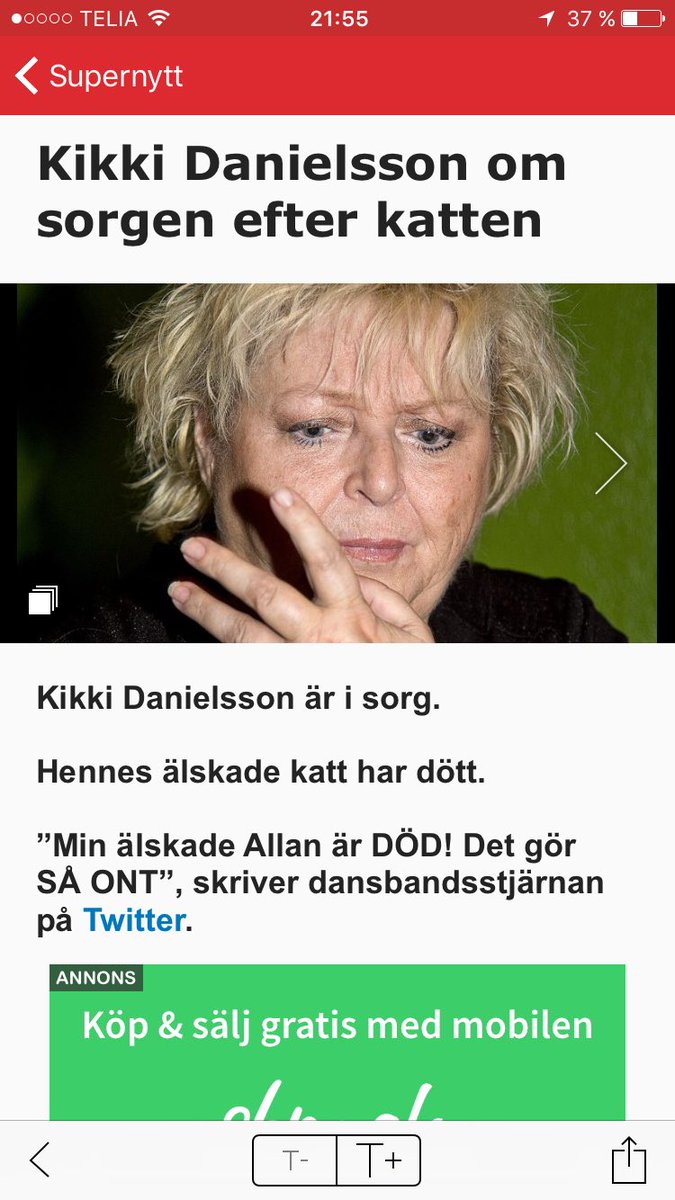 palmestedt's tweet image. Ibland skulle man vilja vara en liten liten fluga i det rum där de stora redaktionella besluten tas. #LäggUt