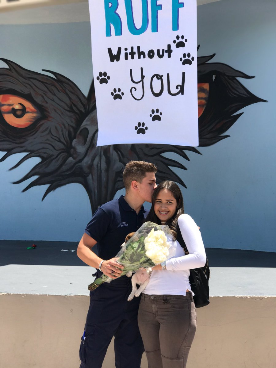 caroprz_'s tweet photo. prom with you would be pawfect🐶🐾 https://t.co/X1fqnRW2g5